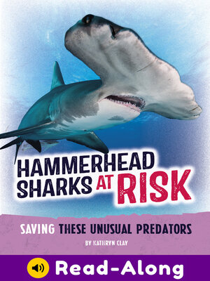 cover image of Hammerhead Sharks at Risk